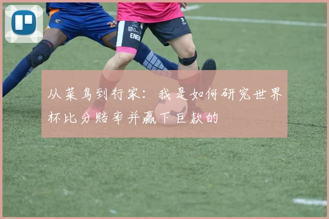 从菜鸟到行家：我是如何研究世界杯比分赔率并赢下巨款的