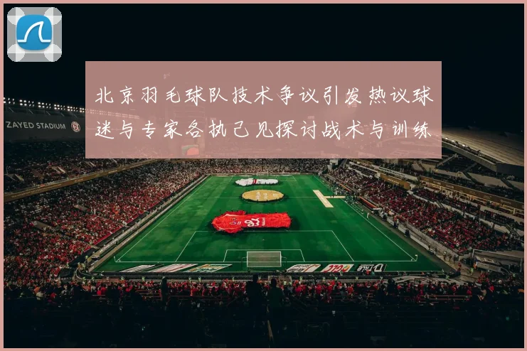 北京羽毛球队技术争议引发热议球迷与专家各执己见探讨战术与训练问题