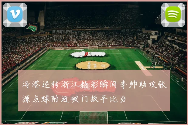 海港逆转浙江精彩瞬间李帅助攻张源点球附近破门扳平比分